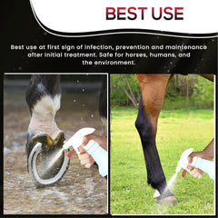 Sav-A-HOOF SBS Equine Spray — application sur la couronne pour prévenir les infections.
