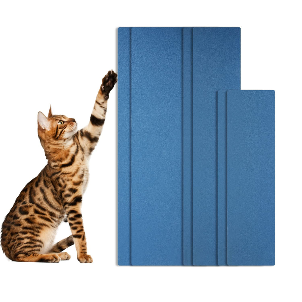 SAVITA lime à griffes pour chat bleue, lot de 6, idéale sur surfaces planes.