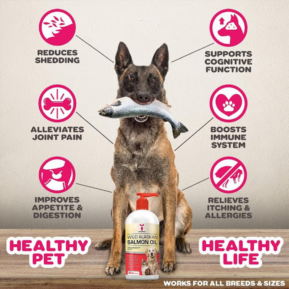SavvyBeast huile saumon Alaska pour chats — pelage doux et peau équilibrée.