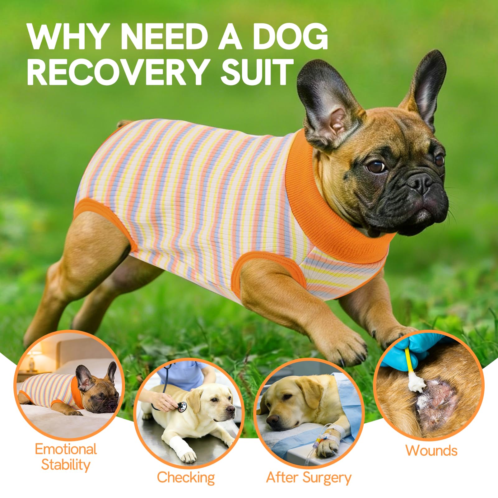 SAWMONG Recovery Suit chien vue anti-licking; protection des zones post-opératoires.