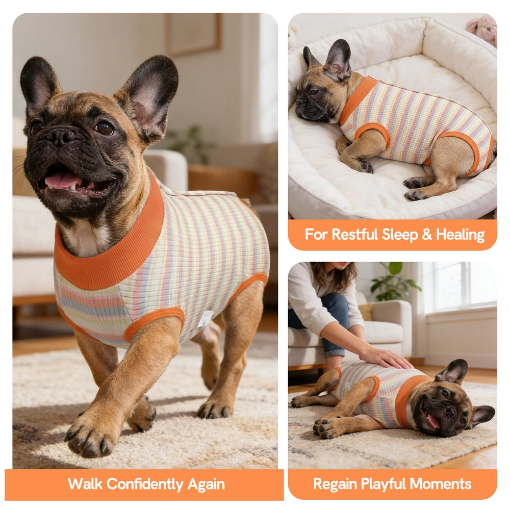 SAWMONG Recovery Suit chien coupe mâle et femelle; adaptable à plusieurs tailles.
