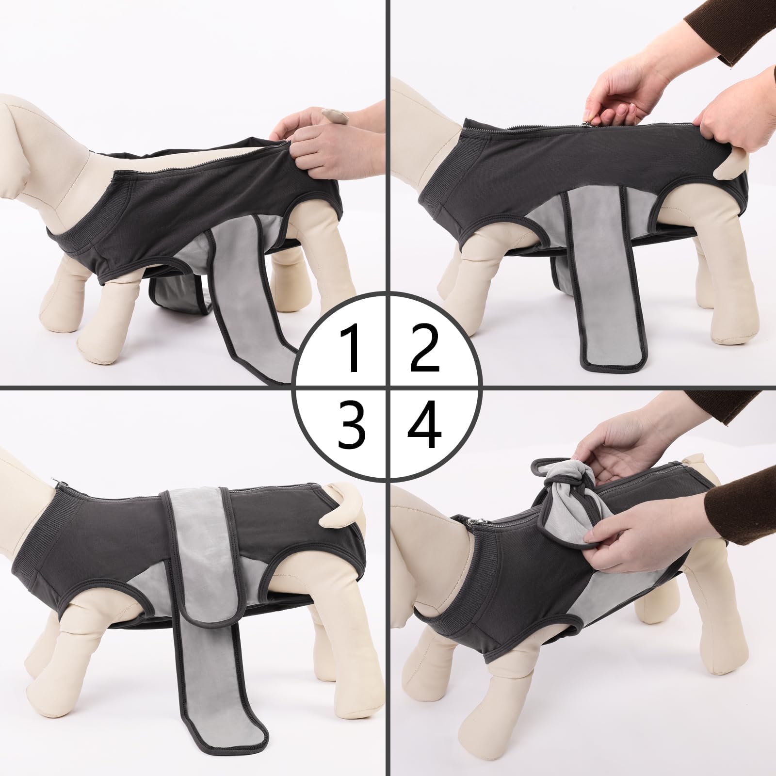 SAWMONG design-chic chien: allure élégante et calme