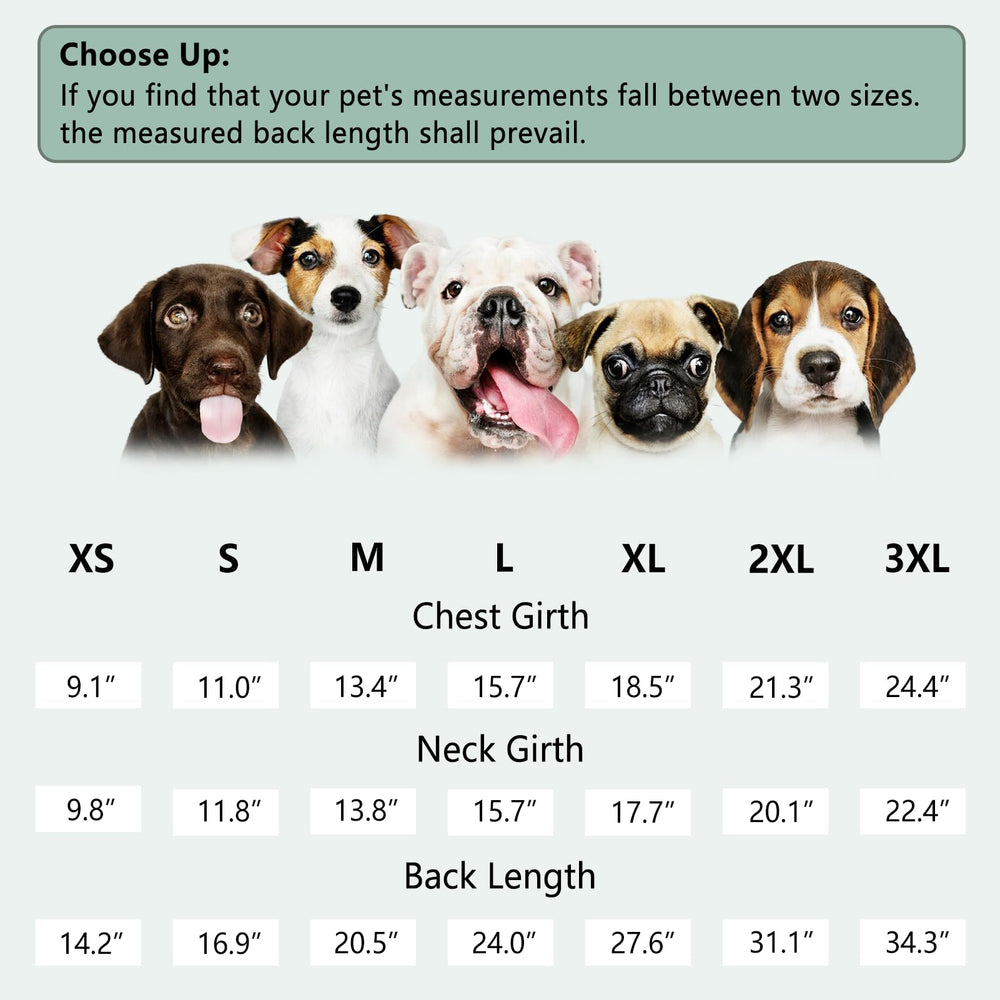 SAWMONG design chic et pratique pour le quotidien des chiens