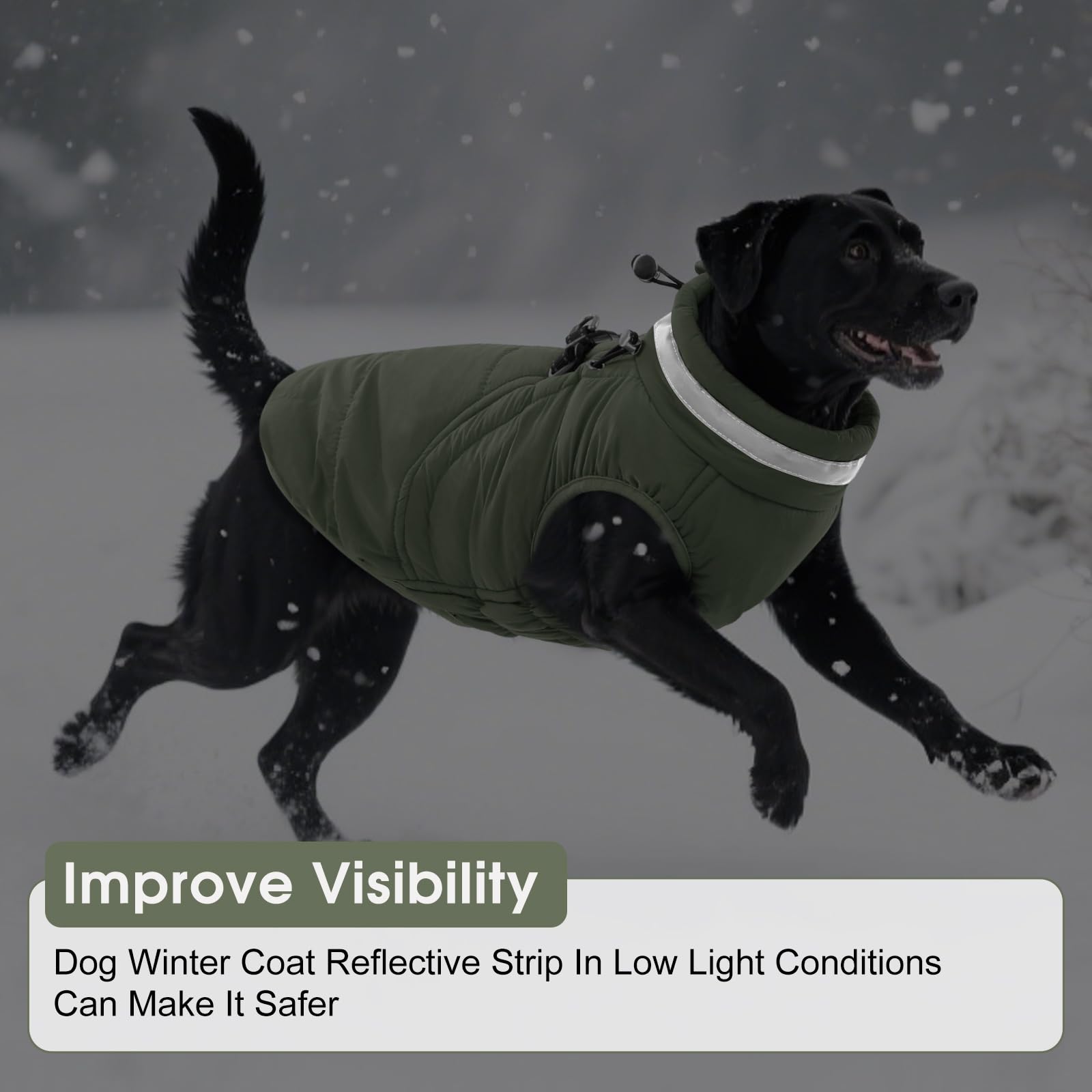 SAWMONG manteau chien hiver bande reflexhissante pour visibilité nocturne