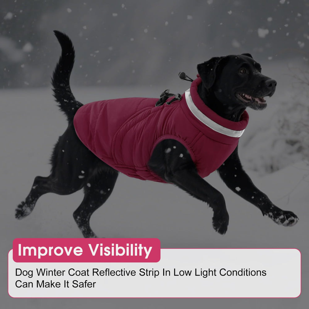 SAWMONG plusieurs tailles chien: ajustement précis pour chaque morphologie.