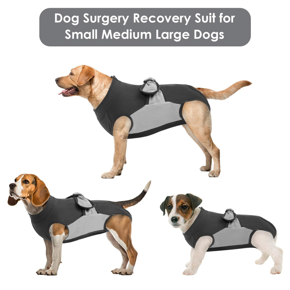 SAWMONG protection-ventre chien: couverture post-opératoire complète