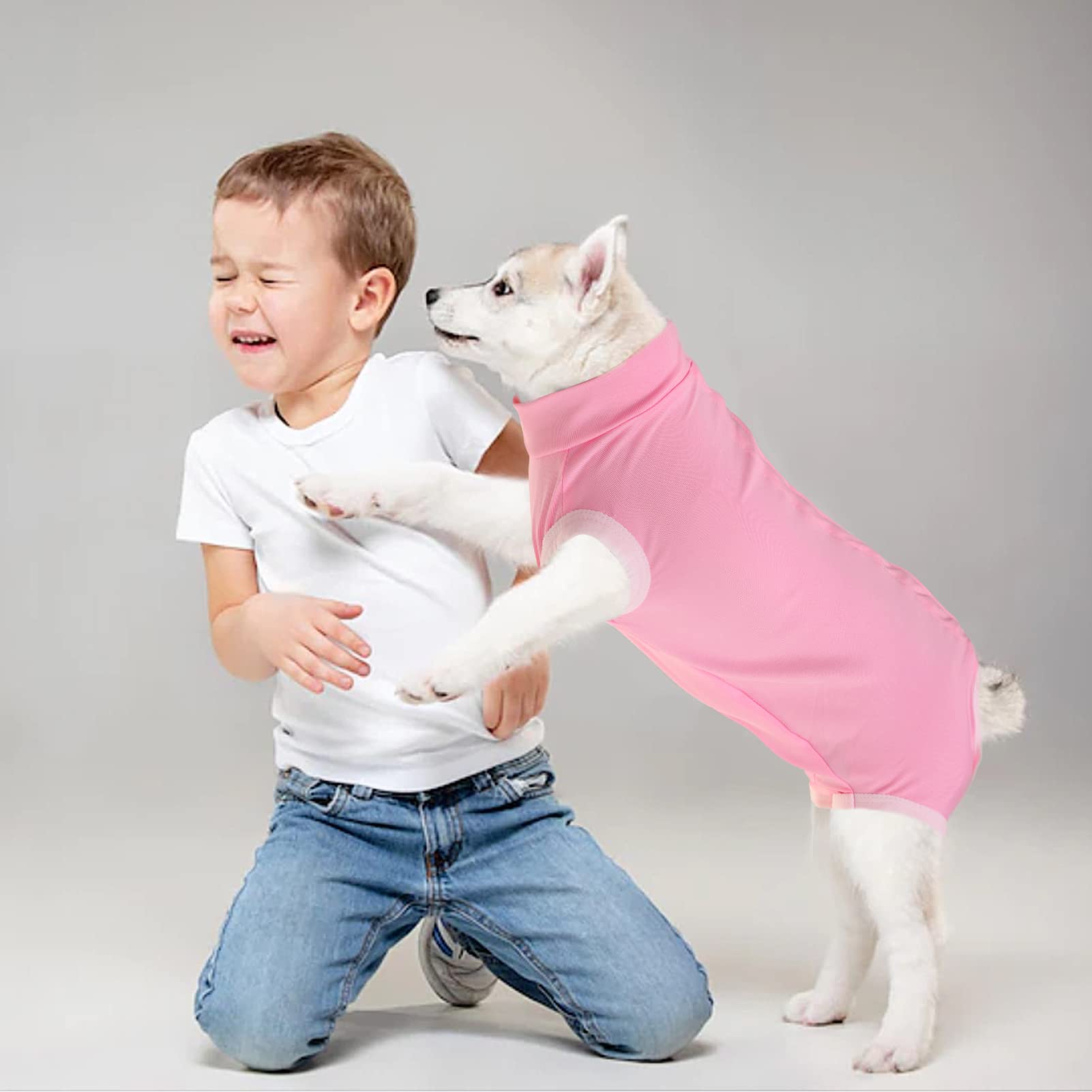 SAWMONG usage à domicile, vêtement pratique pour la convalescence canine.