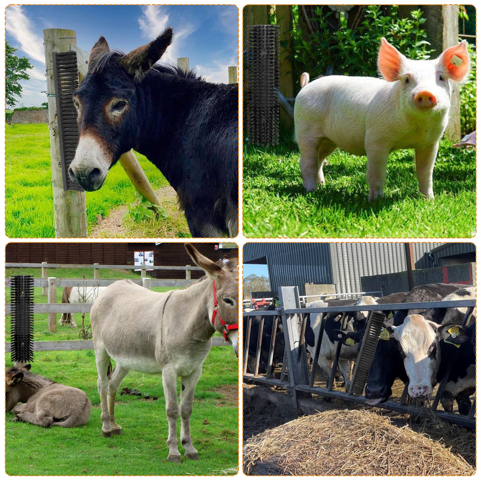 Sayutie brosse – outil de toilettage fiable pour ferme et ranch.