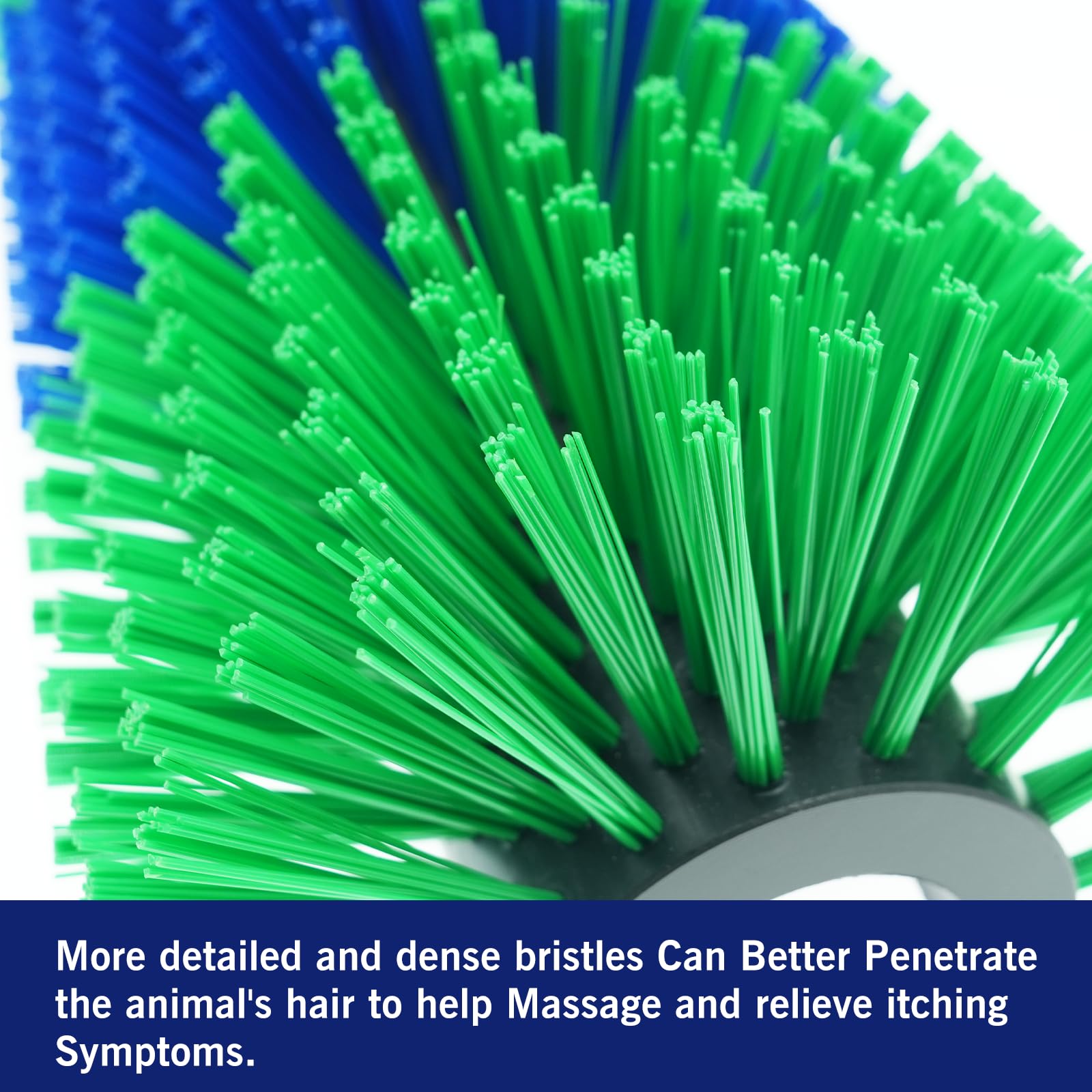 Sayutie brosse-grattage matériau-plastique durable et sûr.