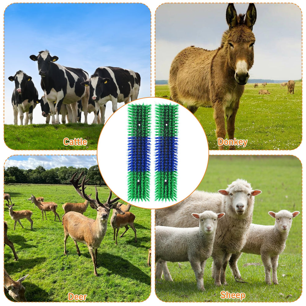 Sayutie plastique durable, brosse grattage sécurisée pour animaux et facile d'entretien.