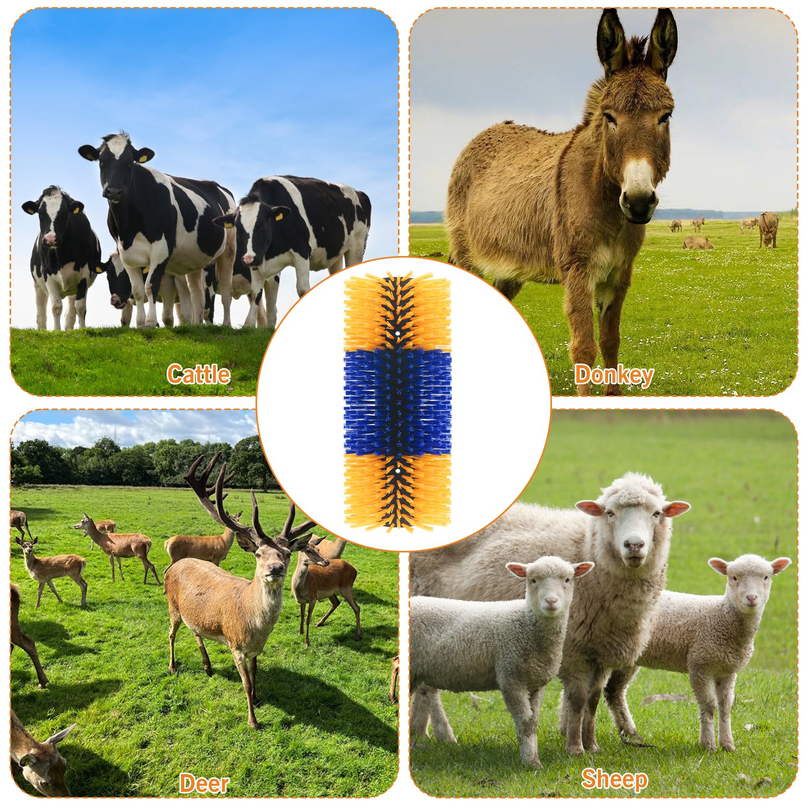 Sayutie brosse grattage convient à bovins ovins chevaux et cochons en usage domestique