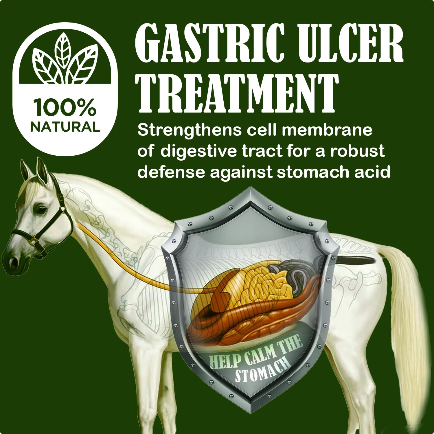 Granules appétissantes SBS Equine Starting Gate, faciles à intégrer au repas.