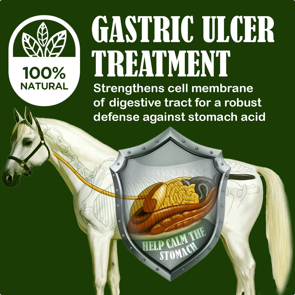 Granules appétissantes SBS Equine Starting Gate, faciles à intégrer au repas.
