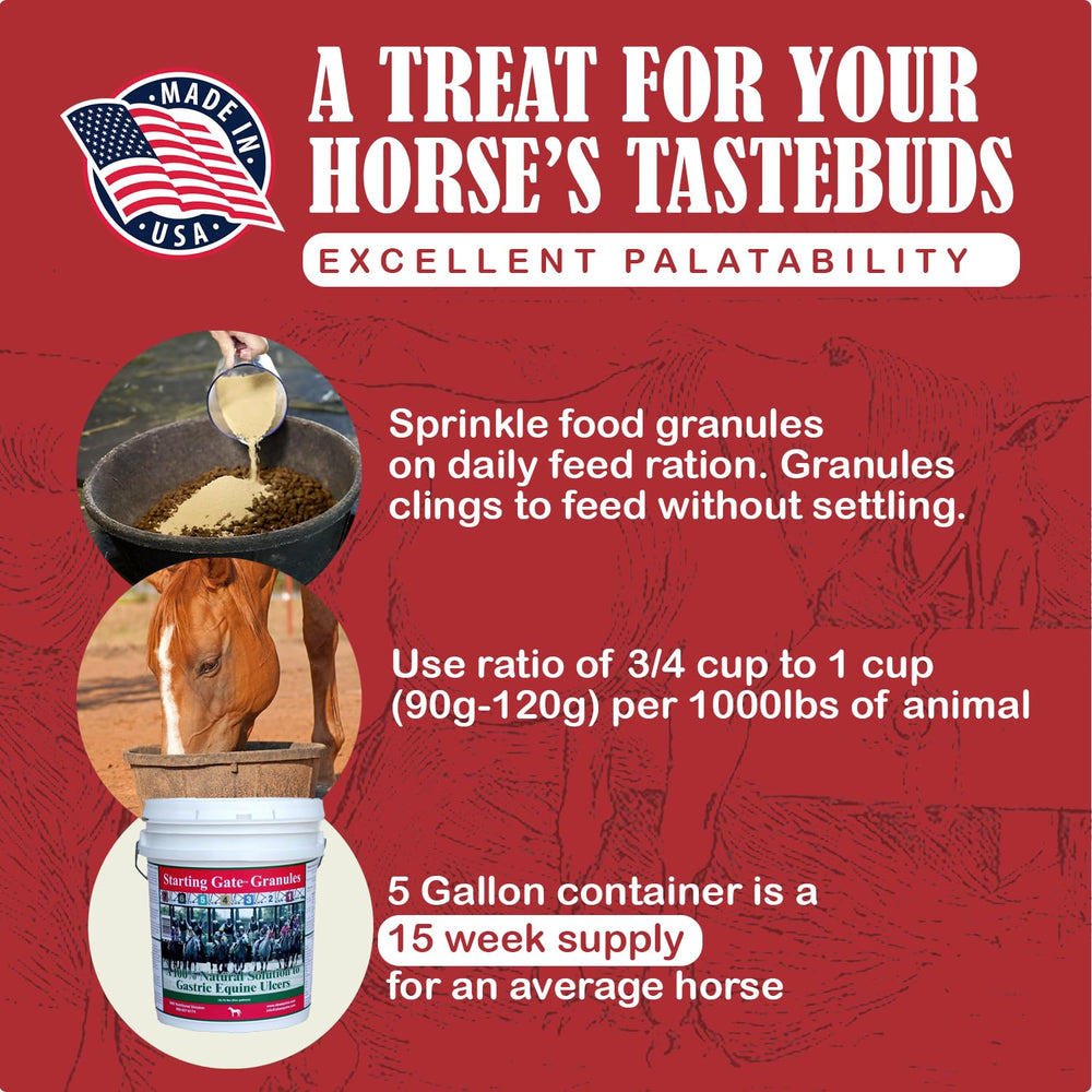 Granules SBS Equine Starting Gate pour le soutien digestif équin harmonieux.