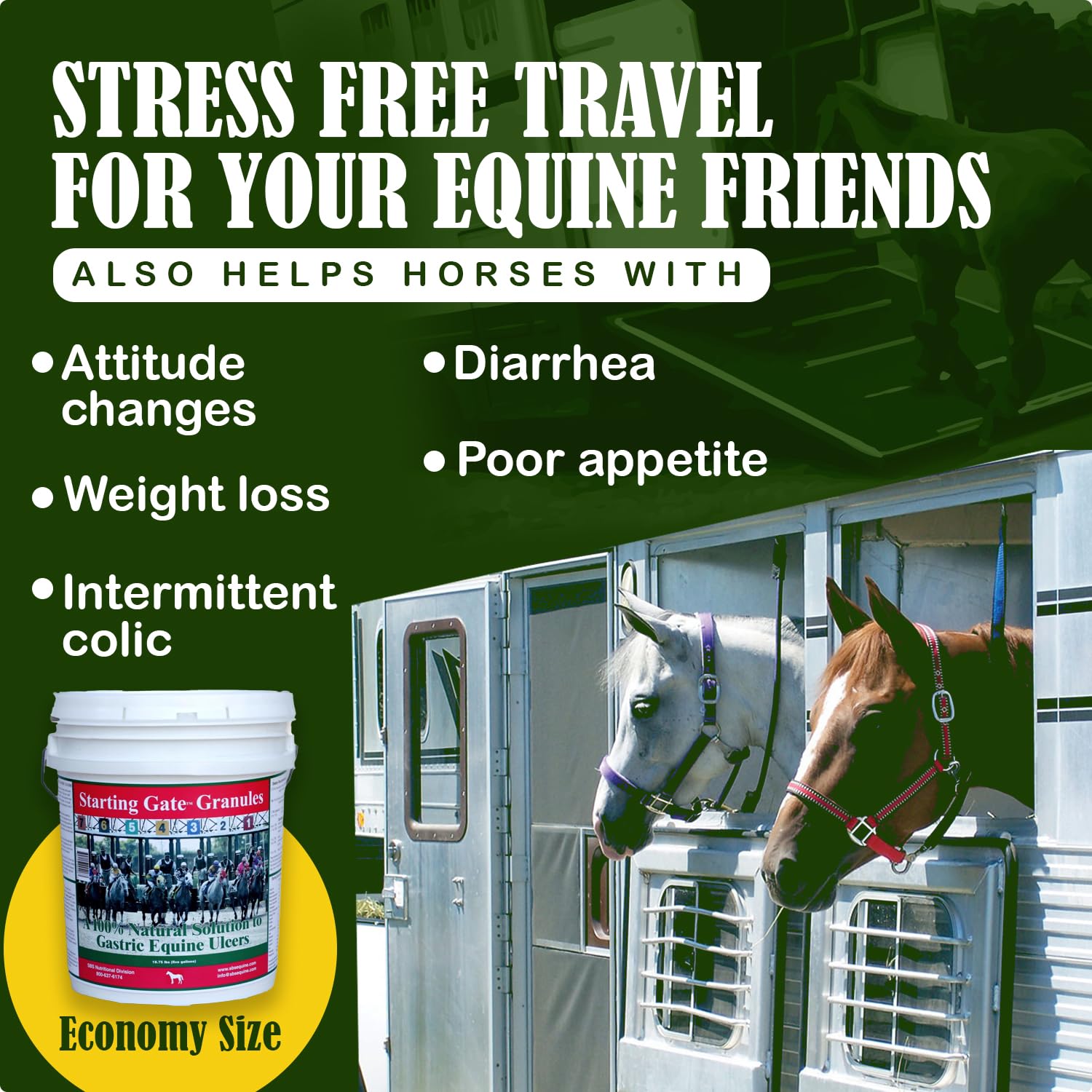 Granules SBS Equine Starting Gate pour le soutien digestif et les ulcères gastriques.