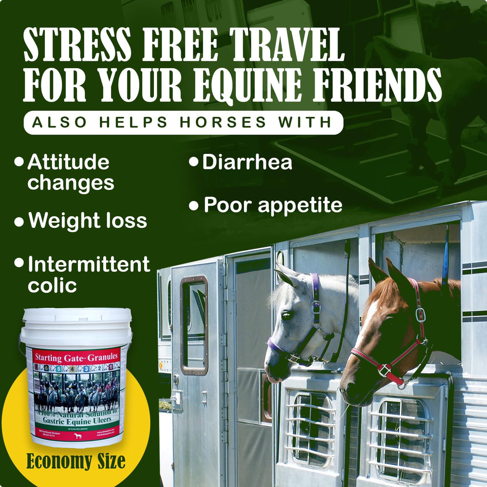 Granules SBS Equine Starting Gate pour le soutien digestif et les ulcères gastriques.