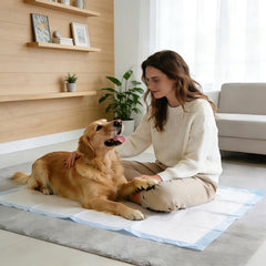 SCLOSE – aperçu des tapis absorbants à absorption rapide.