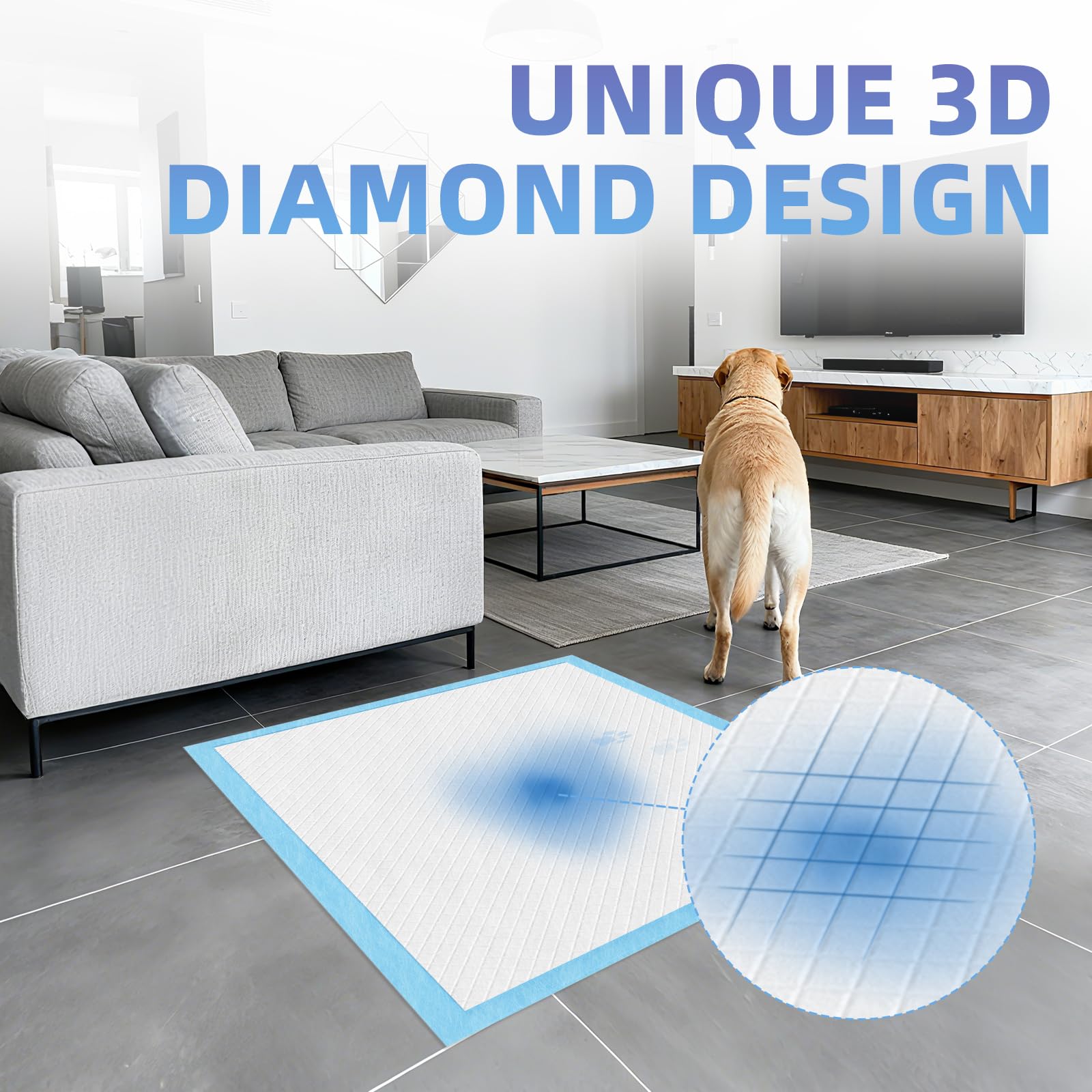SCLOSE – format très grand 30x36 pouces pour animaux variés.