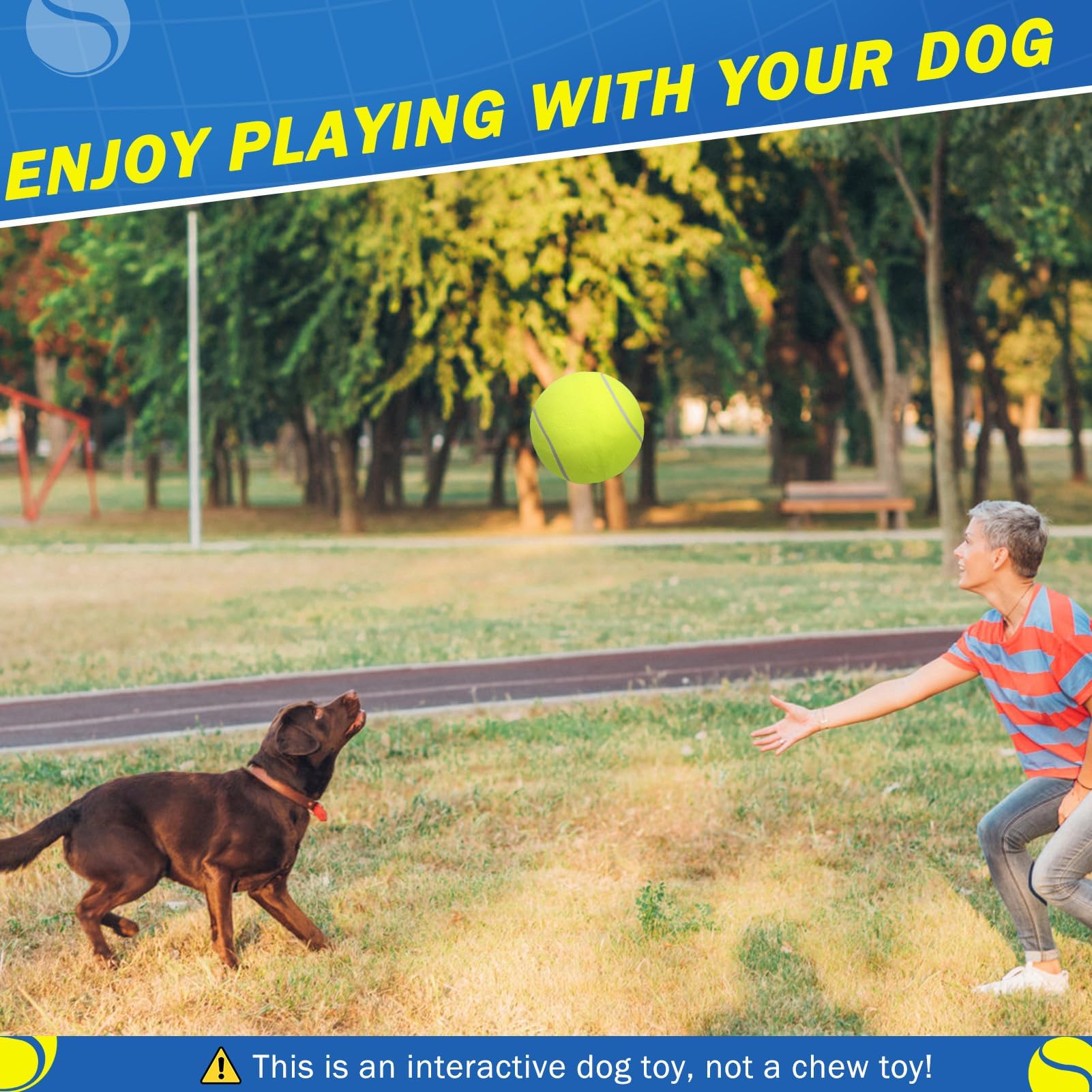 SCENEREAL cadeau idéal pour anniversaires canins et Halloween.