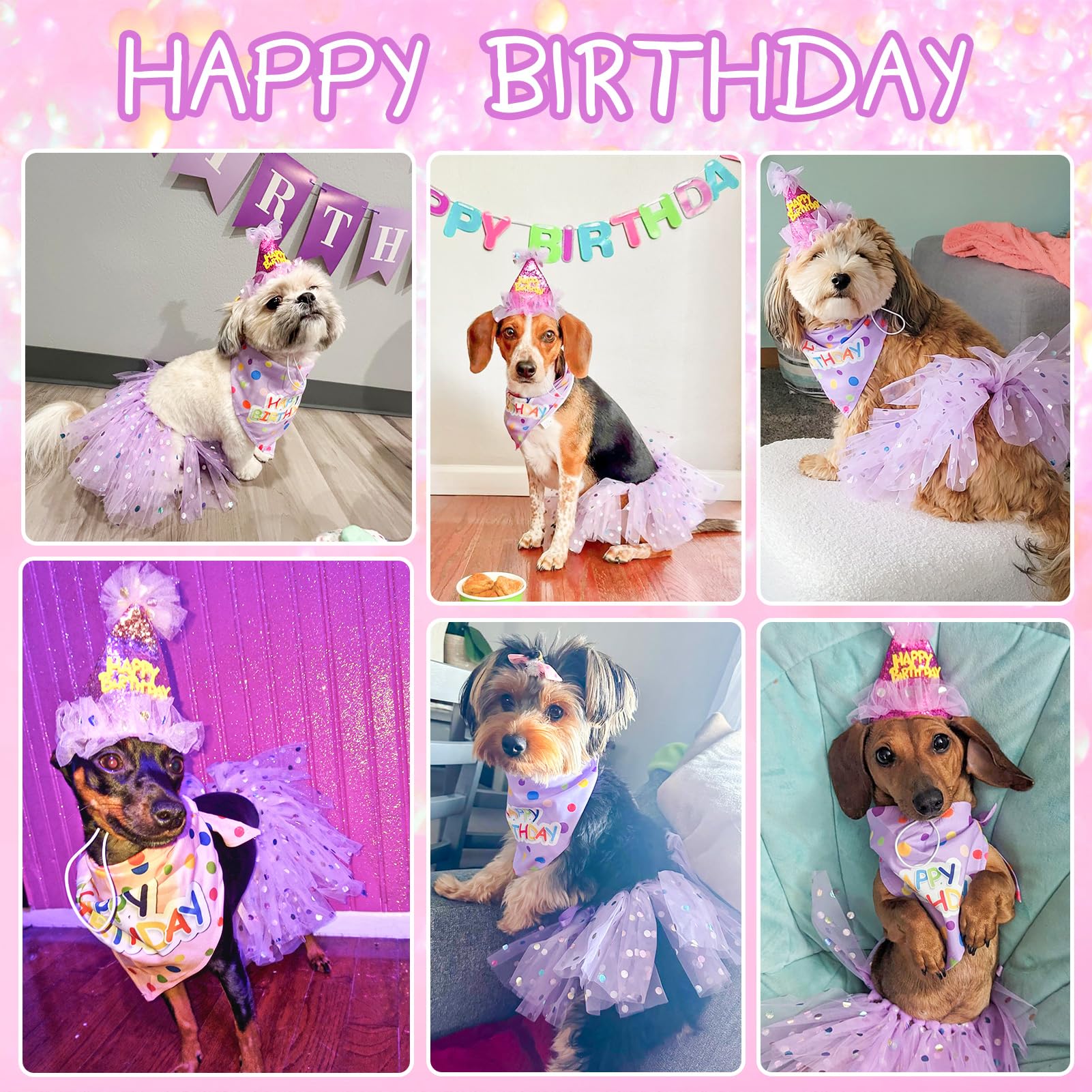 SCENEREAL chapeau-anniversaire-chien : maintien sûr et look festif.