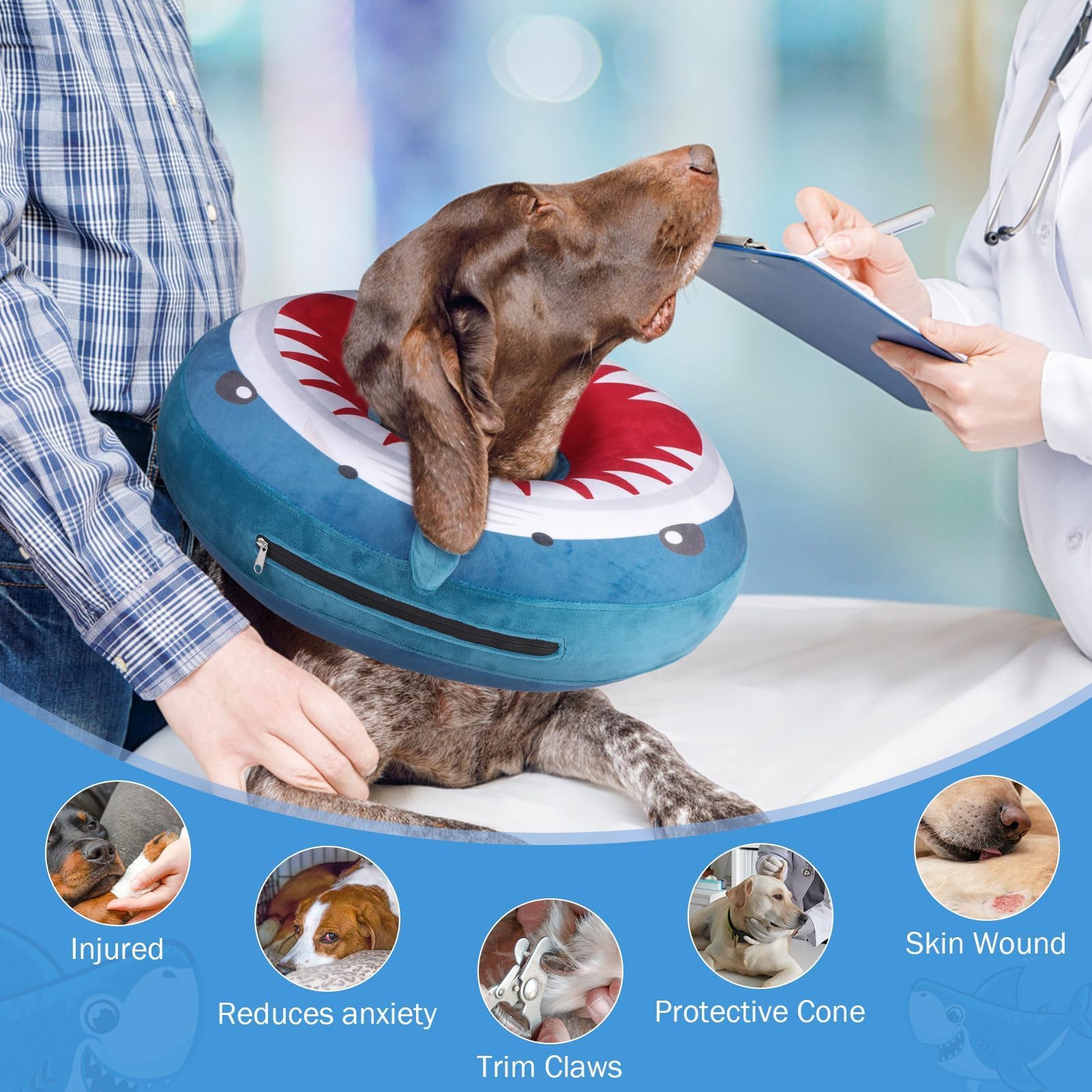 SCENEREAL collier beignet chien valve inflation, gonflage rapide et durable.