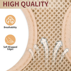 SCENEREAL ensemble harnais et laisse beige pour contrôle facile.