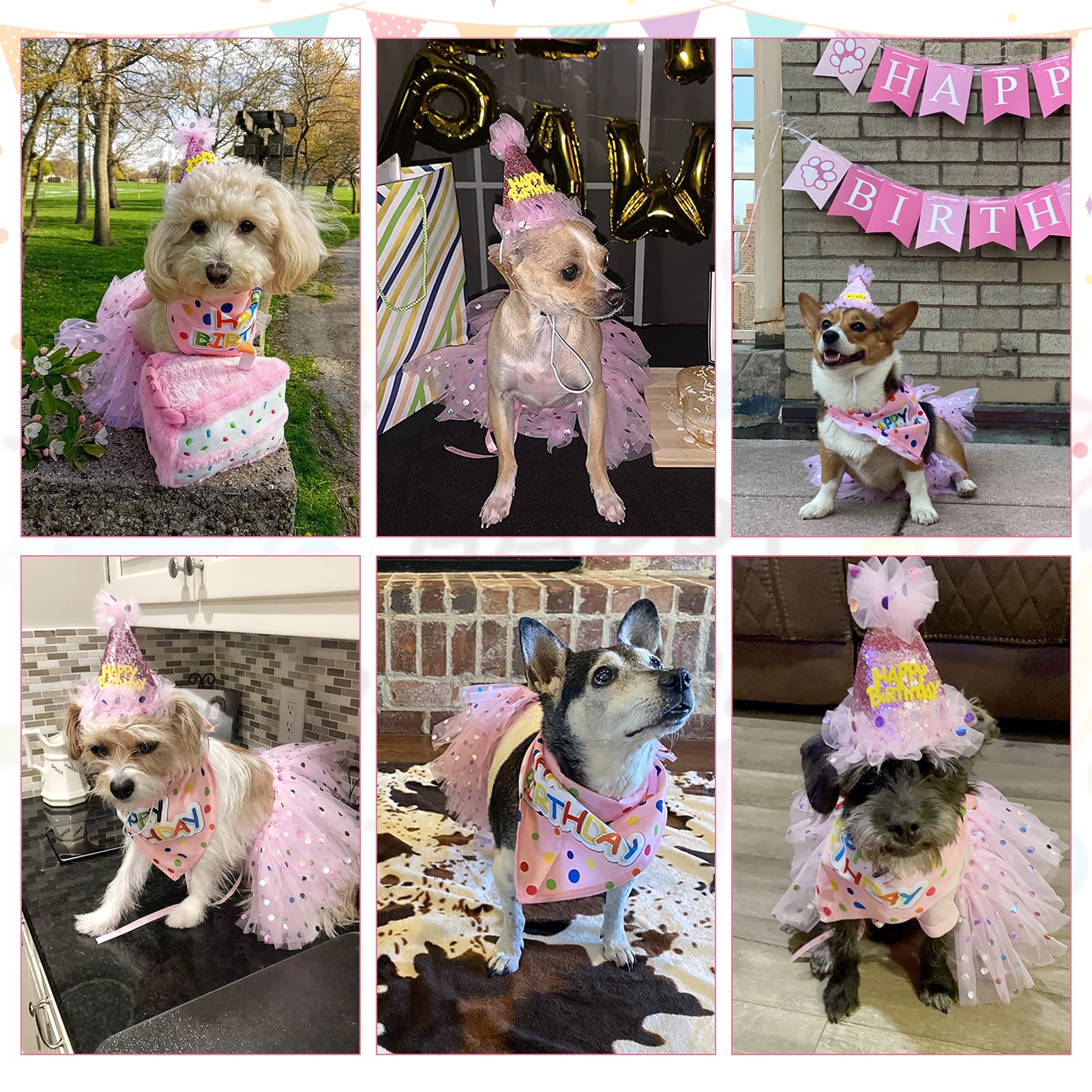 SCENEREAL motifs colorés sur fond rose, look féérique pour chien.