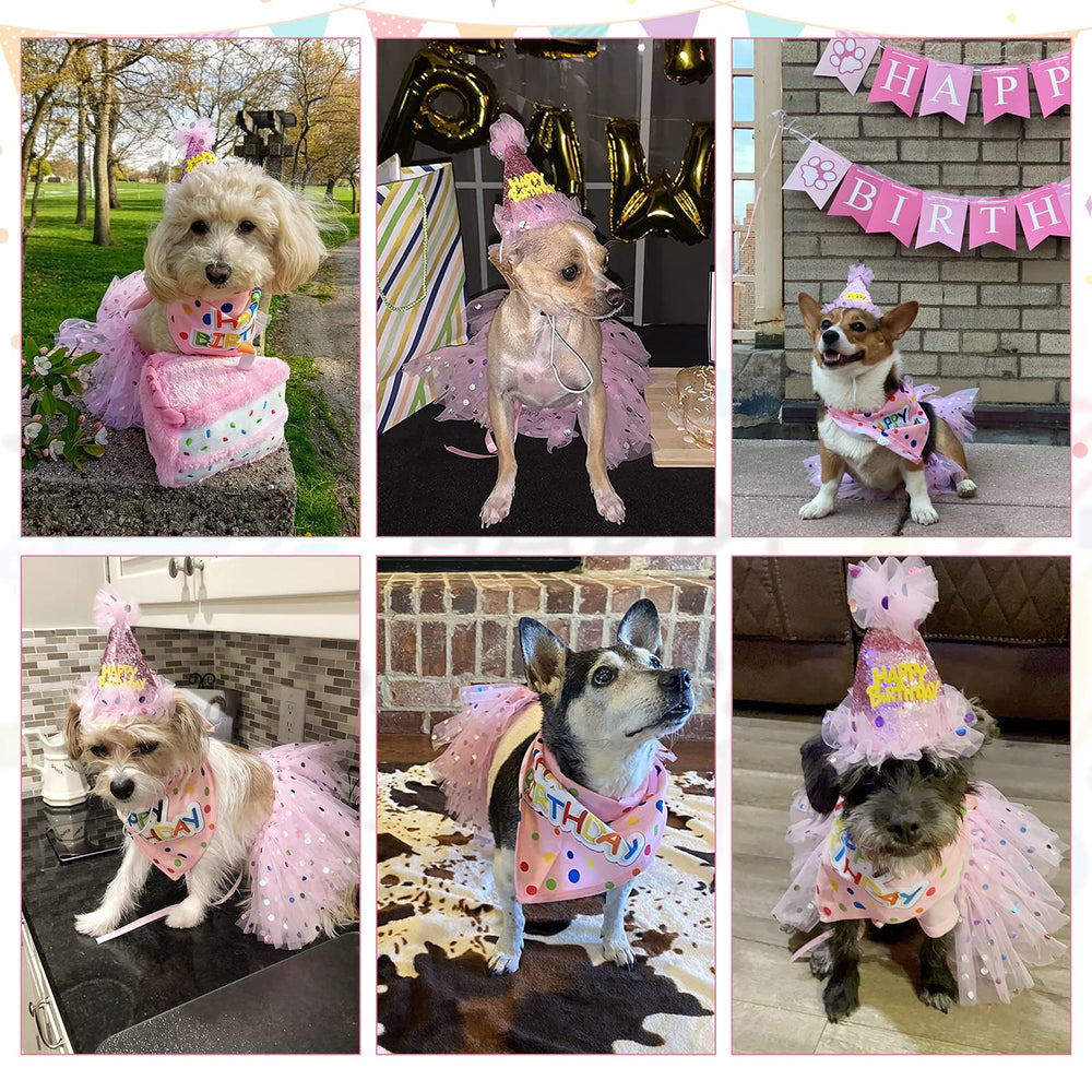 SCENEREAL motifs colorés sur fond rose, look féérique pour chien.