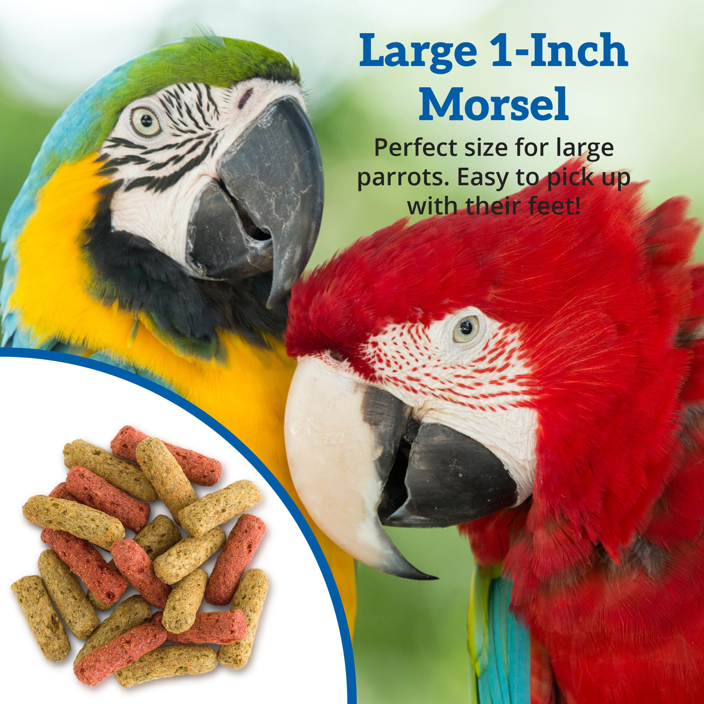 Scenic Mix Jungle: oméga3 et vitamines pour la vitalité générale des perroquets.