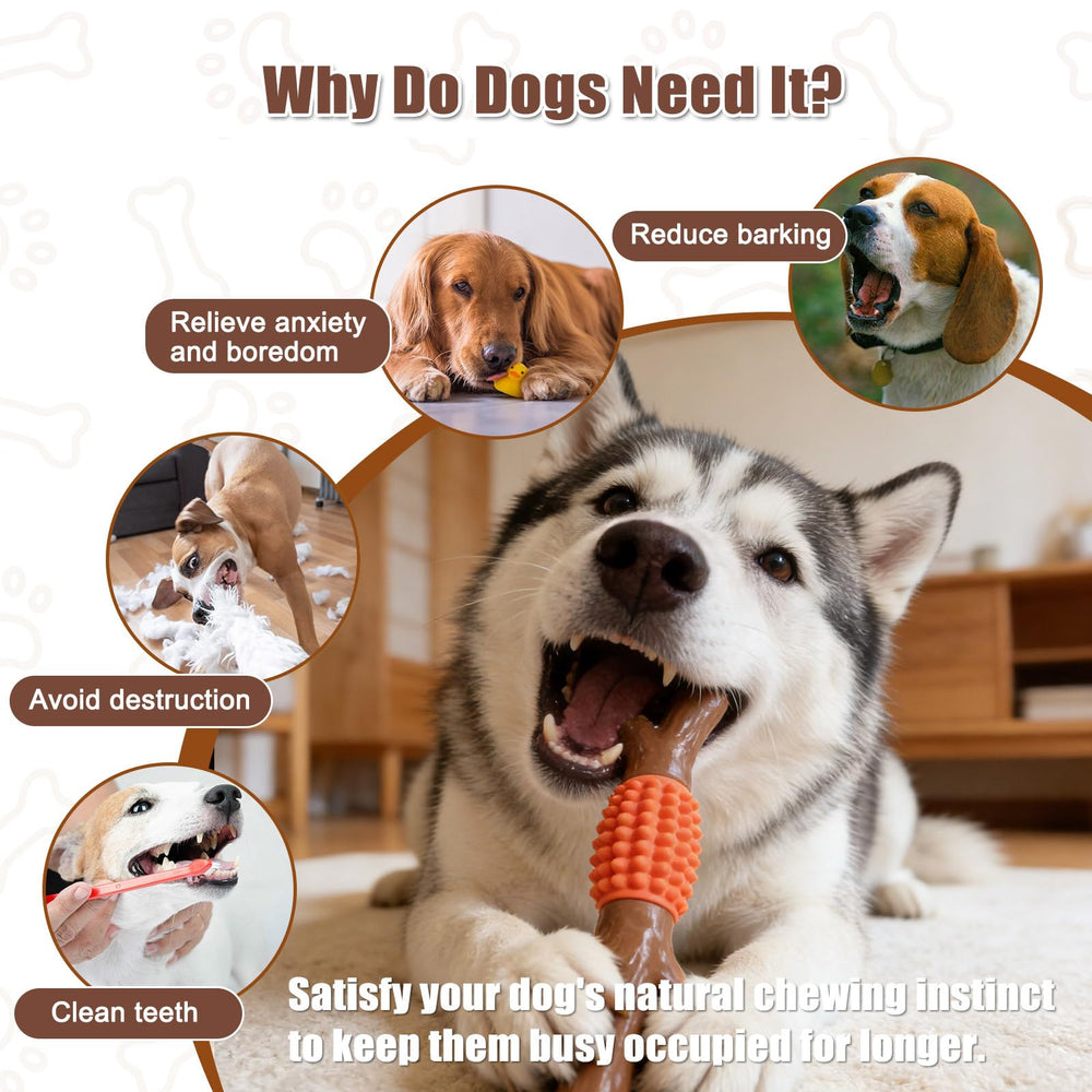 SCHITEC arôme-bois-d-erable-vrai attire les chiens lors de la mastication