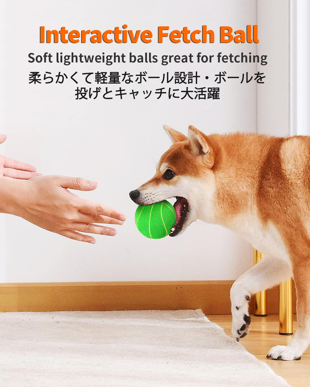 SCHITEC balle élastique et rebondissante, idéale pour lancer et récupérer.