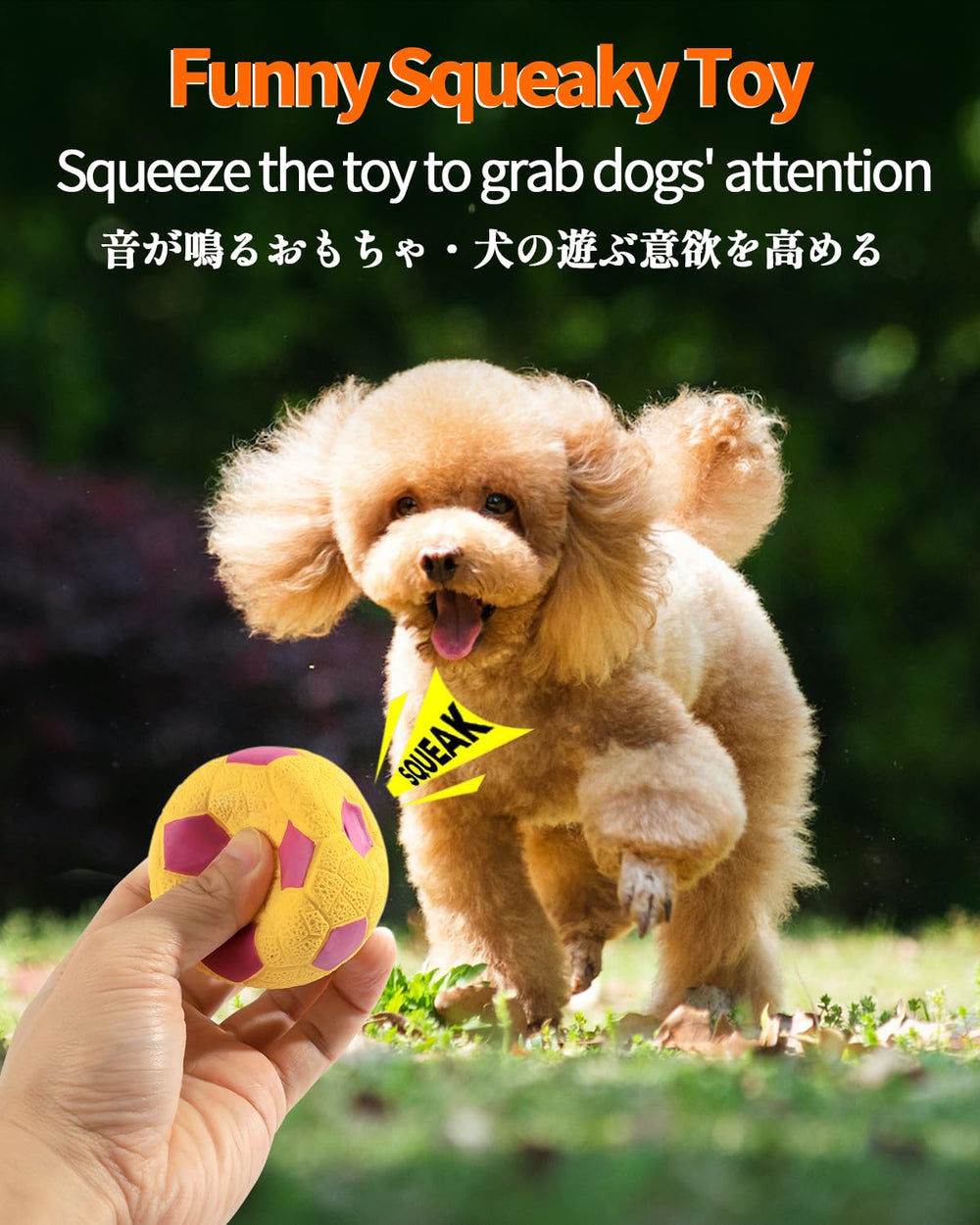 Balles SCHITEC en latex football, idéale pour chien joueur cherchant défi et activité.