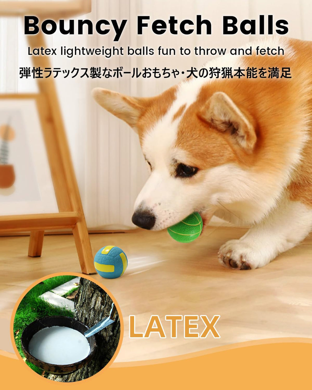 SCHITEC balles sportives en latex, rebond et bruit amusant pour chiens.