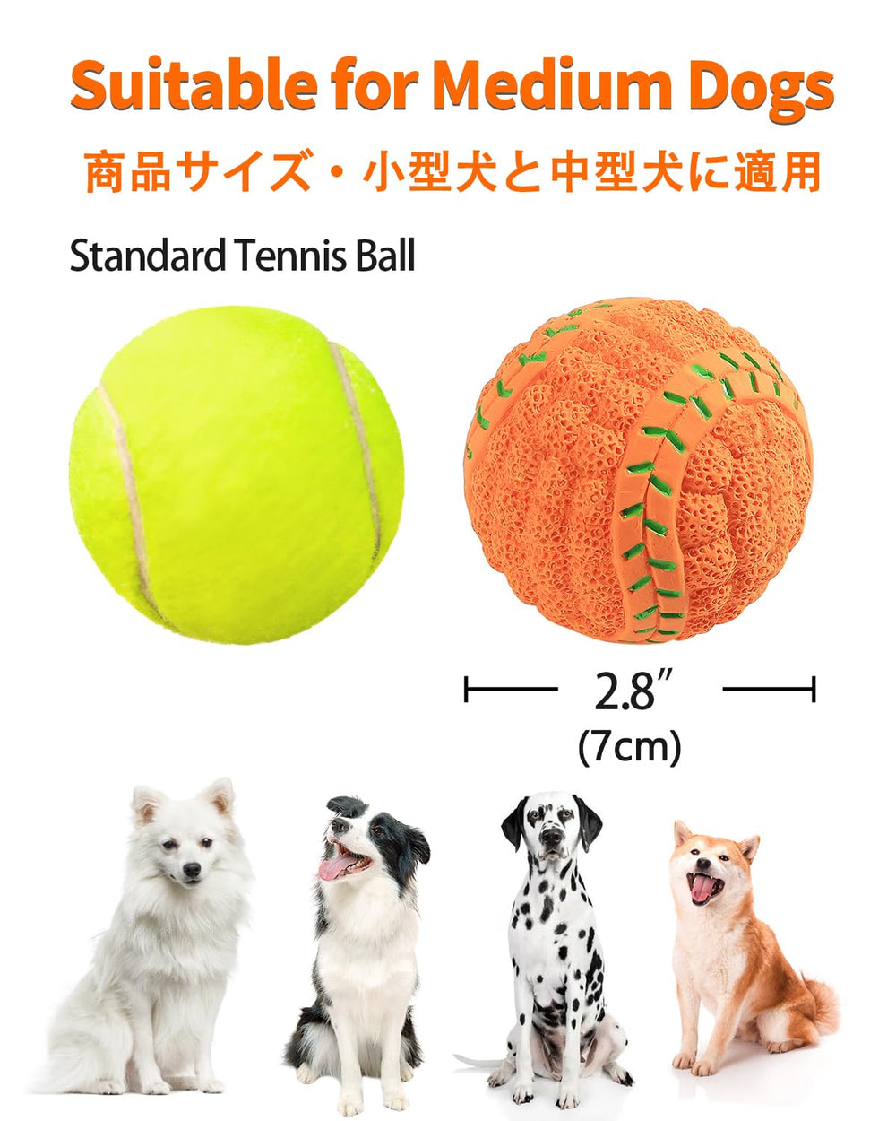 SCHITEC balle-sports variées, adaptées aux chiens de taille moyenne.