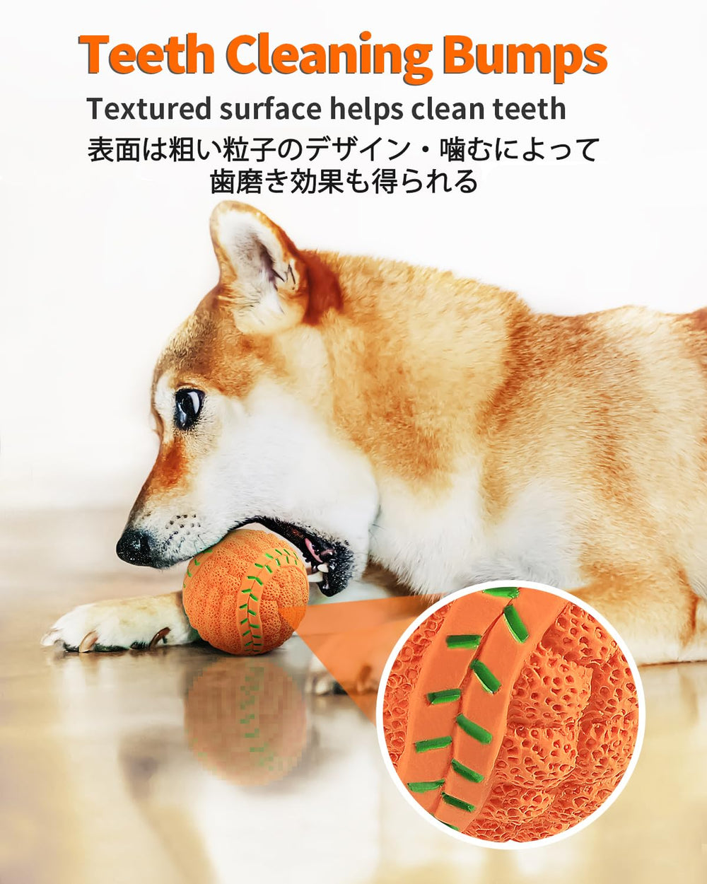 SCHITEC balle à surface texturée, encourage la mastication tout en restant douce sur les gencives.