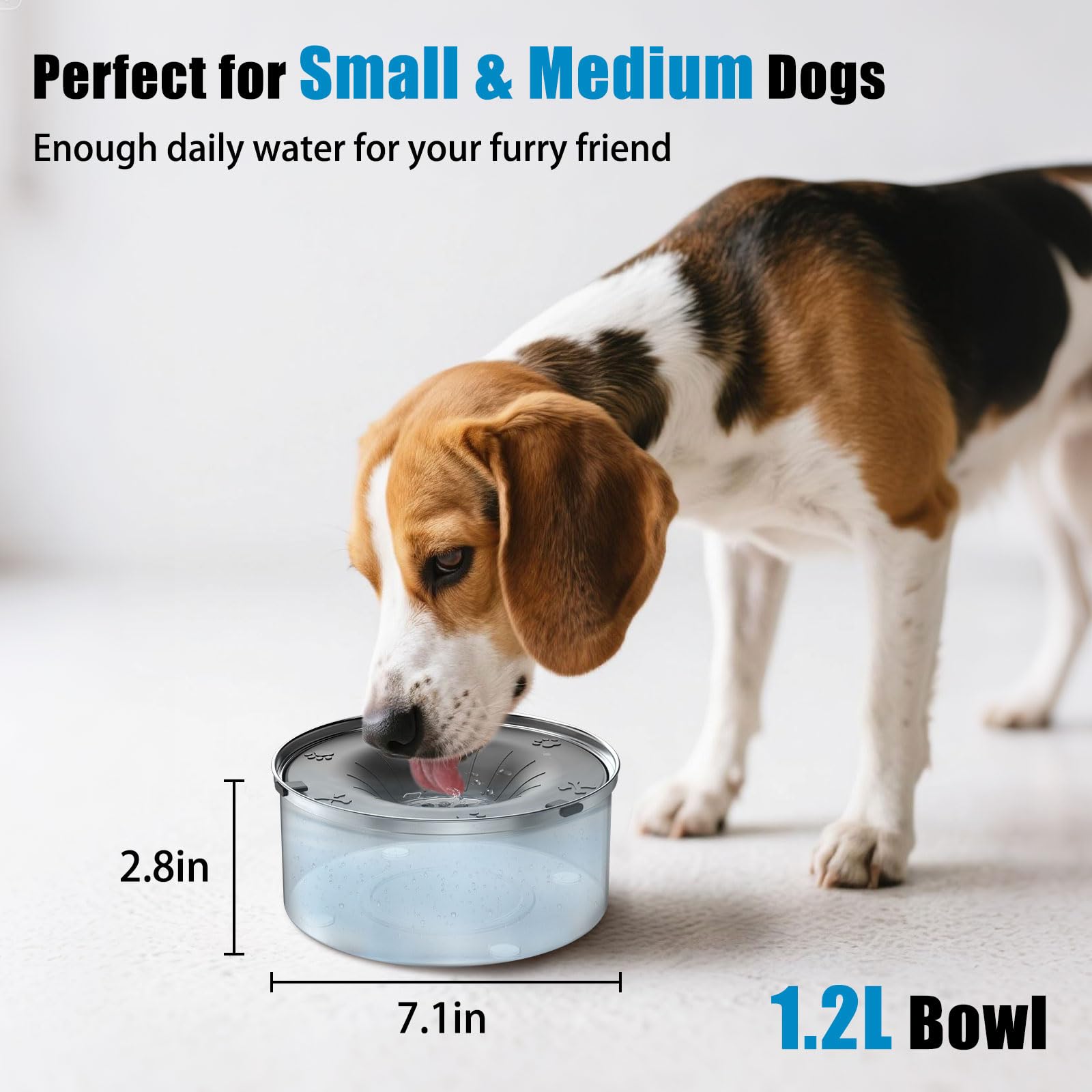 SCHITEC bol eau 3 L, parfait pour chiens moyens à grands.