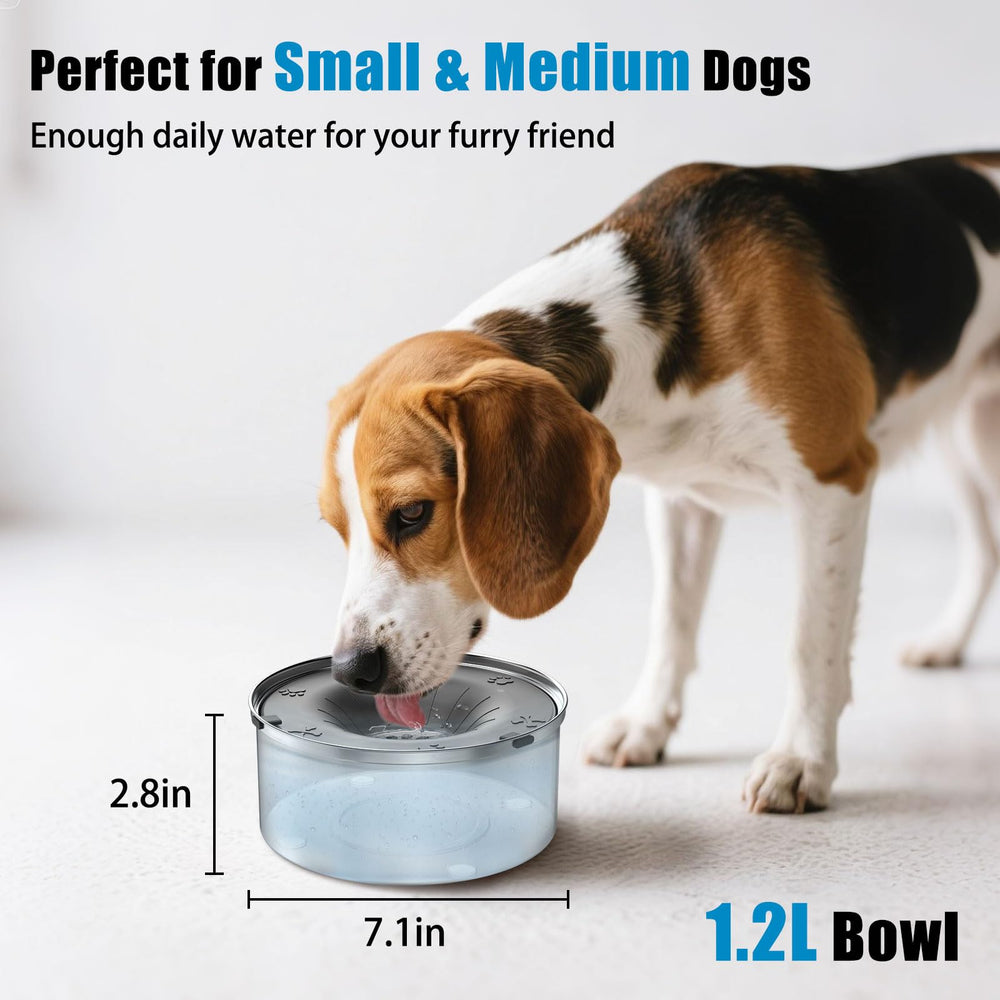 SCHITEC bol eau 3 L, parfait pour chiens moyens à grands.