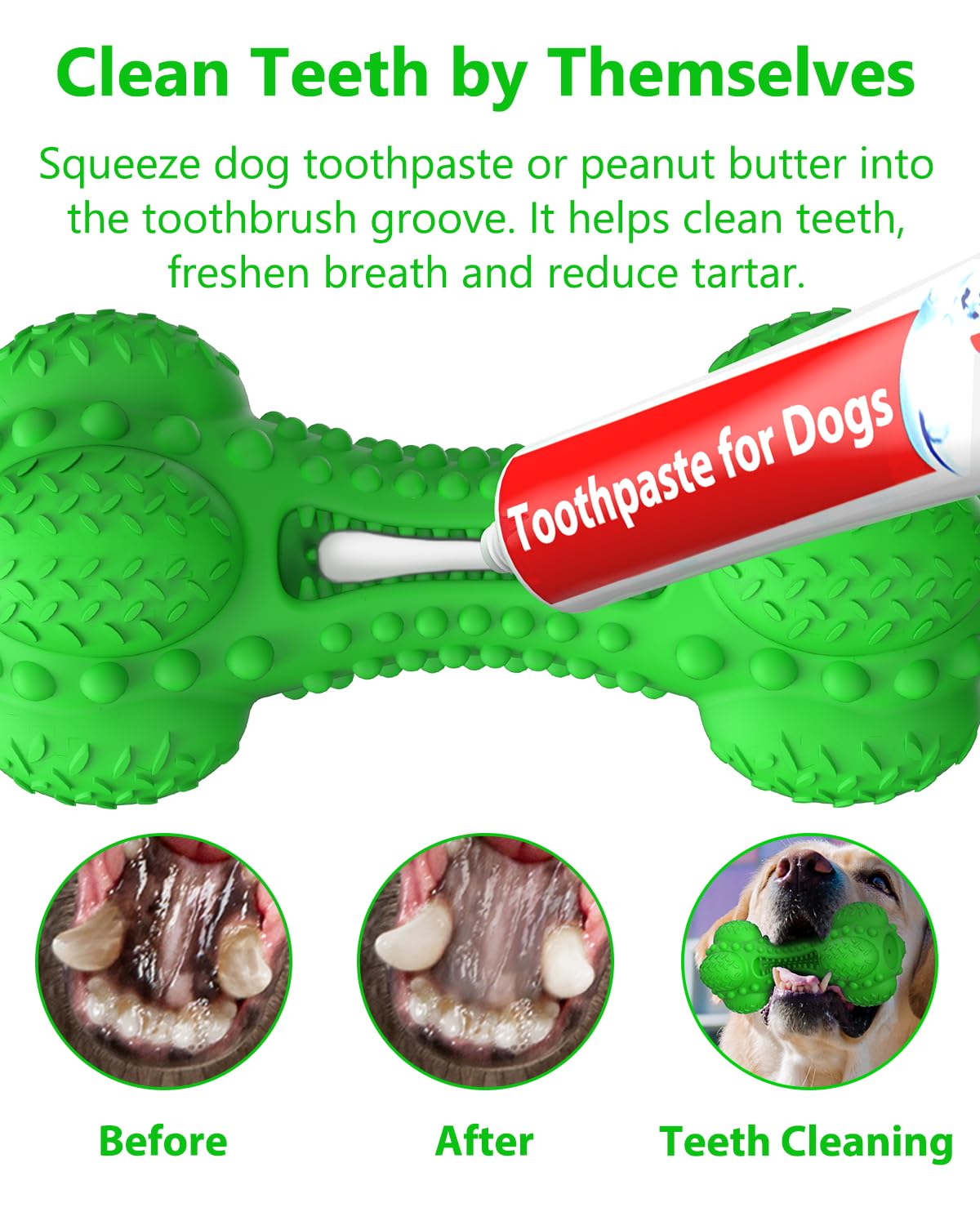 SCHITEC caoutchouc naturel non toxique, durable et sûr pour chiens.