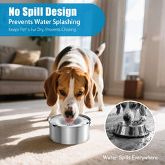 Disque flottant SCHITEC ralentit la boisson du chien.