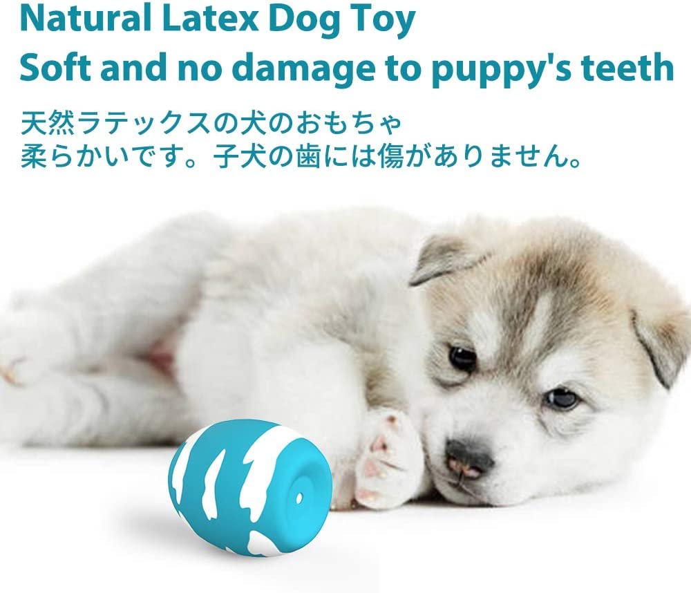 SCHITEC balles œuf molles adaptées aux petits chiens.