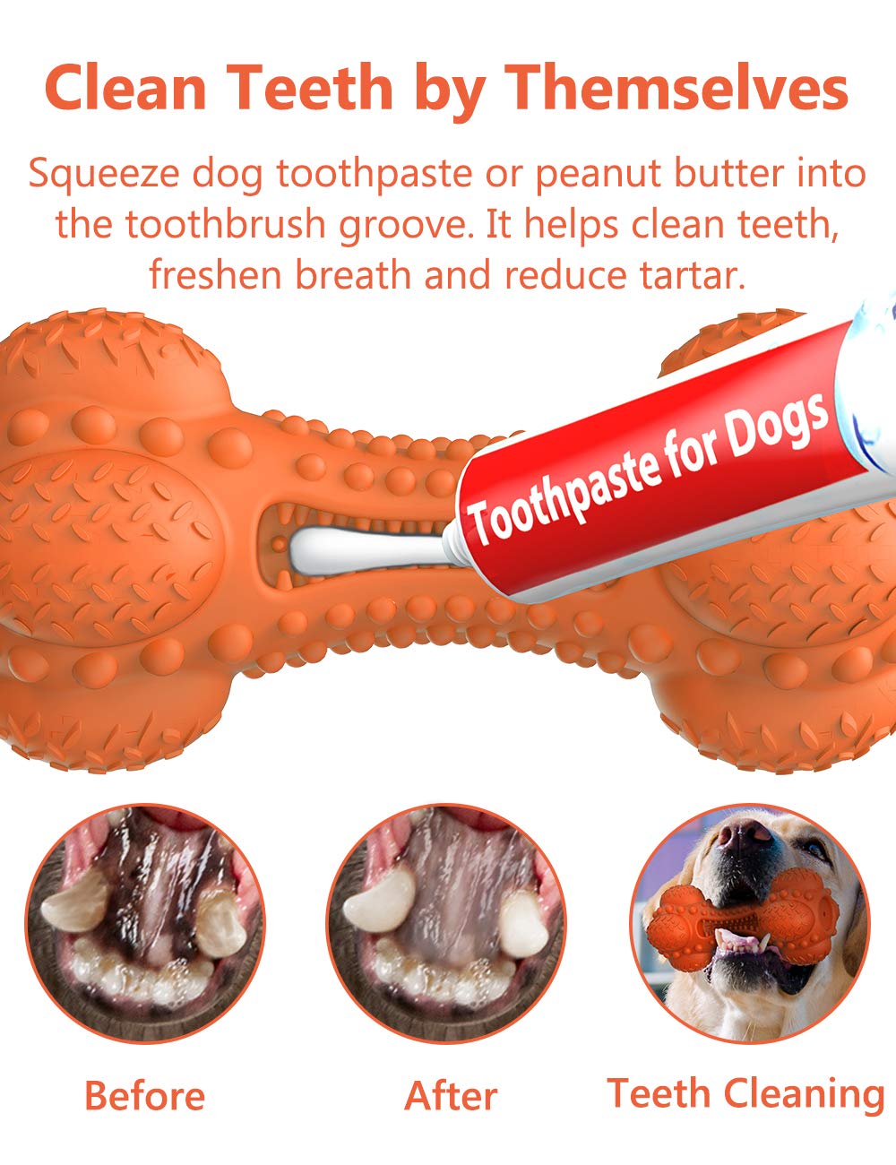 SCHITEC os chien caoutchouc naturel solide résiste aux morsures des chiens robustes.