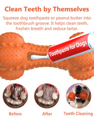 SCHITEC os chien caoutchouc naturel solide résiste aux morsures des chiens robustes.