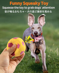 SCHITEC balle avec sifflet intégré, attire l'attention du chien et favorise le jeu.
