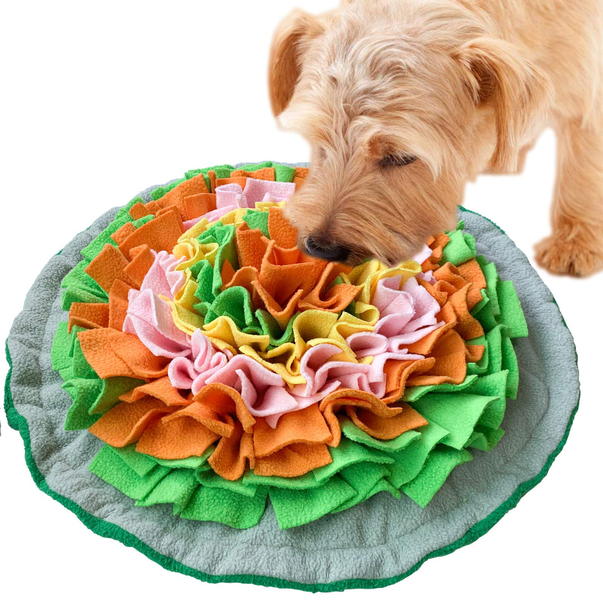 SCHITEC tapis d’exploration olfactive chien interactif stimulant l’odorat.