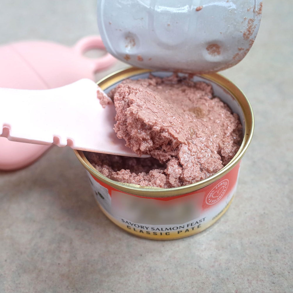 Ensemble ScivoKaval avec couvercle et spatule rose, solution pratique