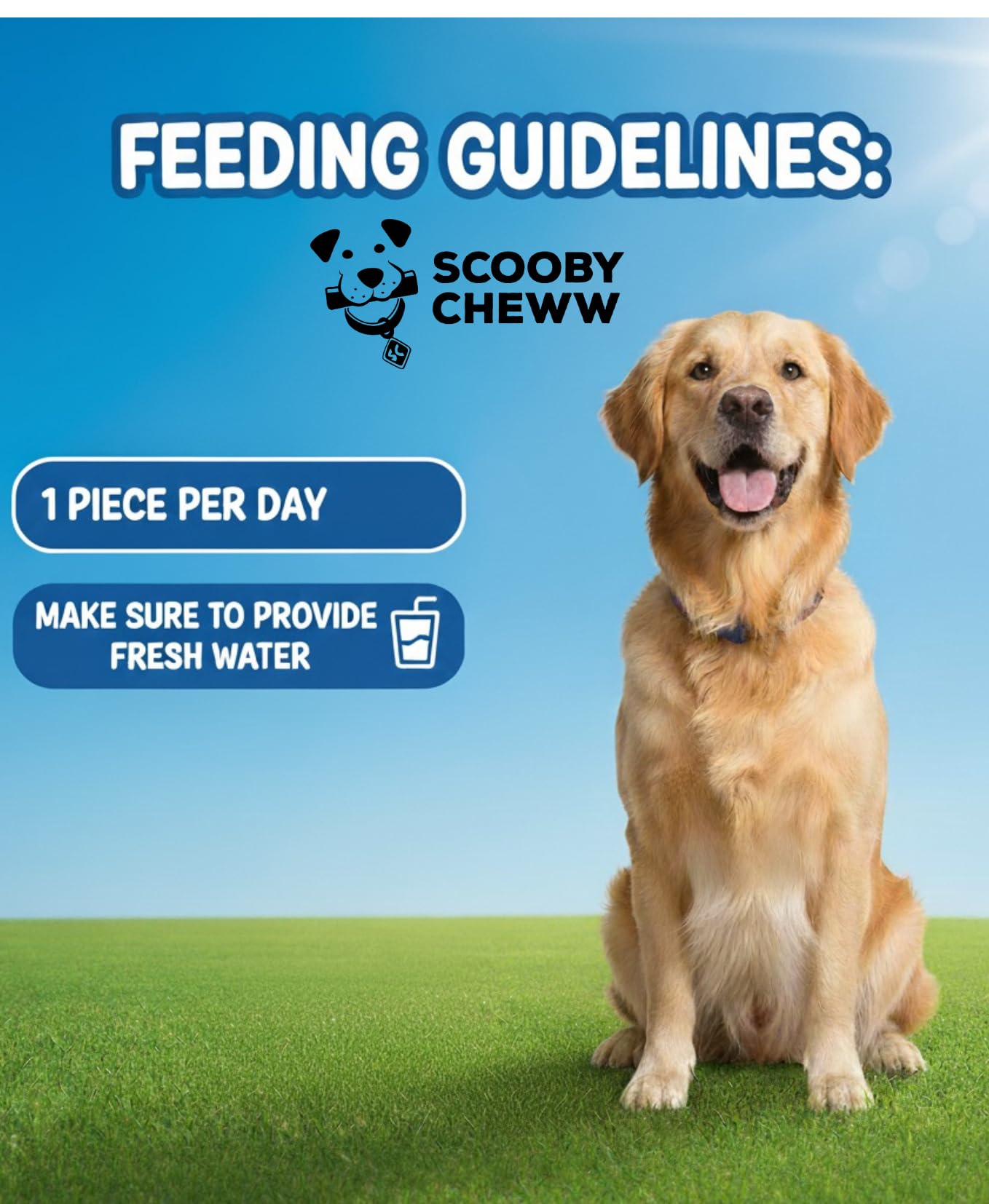 Scooby Cheww – adapté à toutes tailles de chiens, polyvalent et pratique.