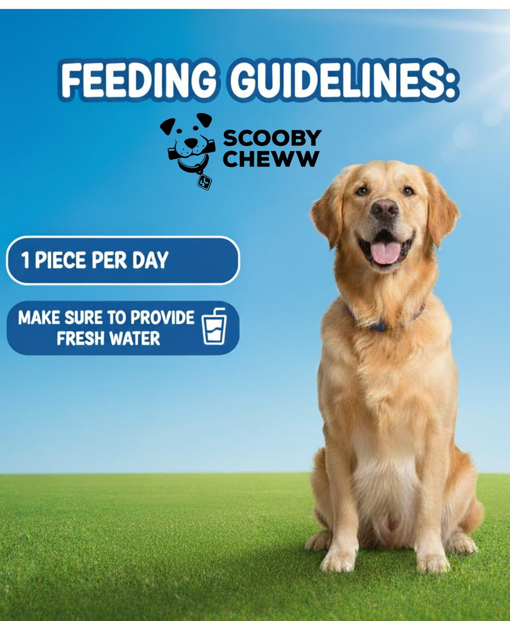 Scooby Cheww – adapté à toutes tailles de chiens, polyvalent et pratique.