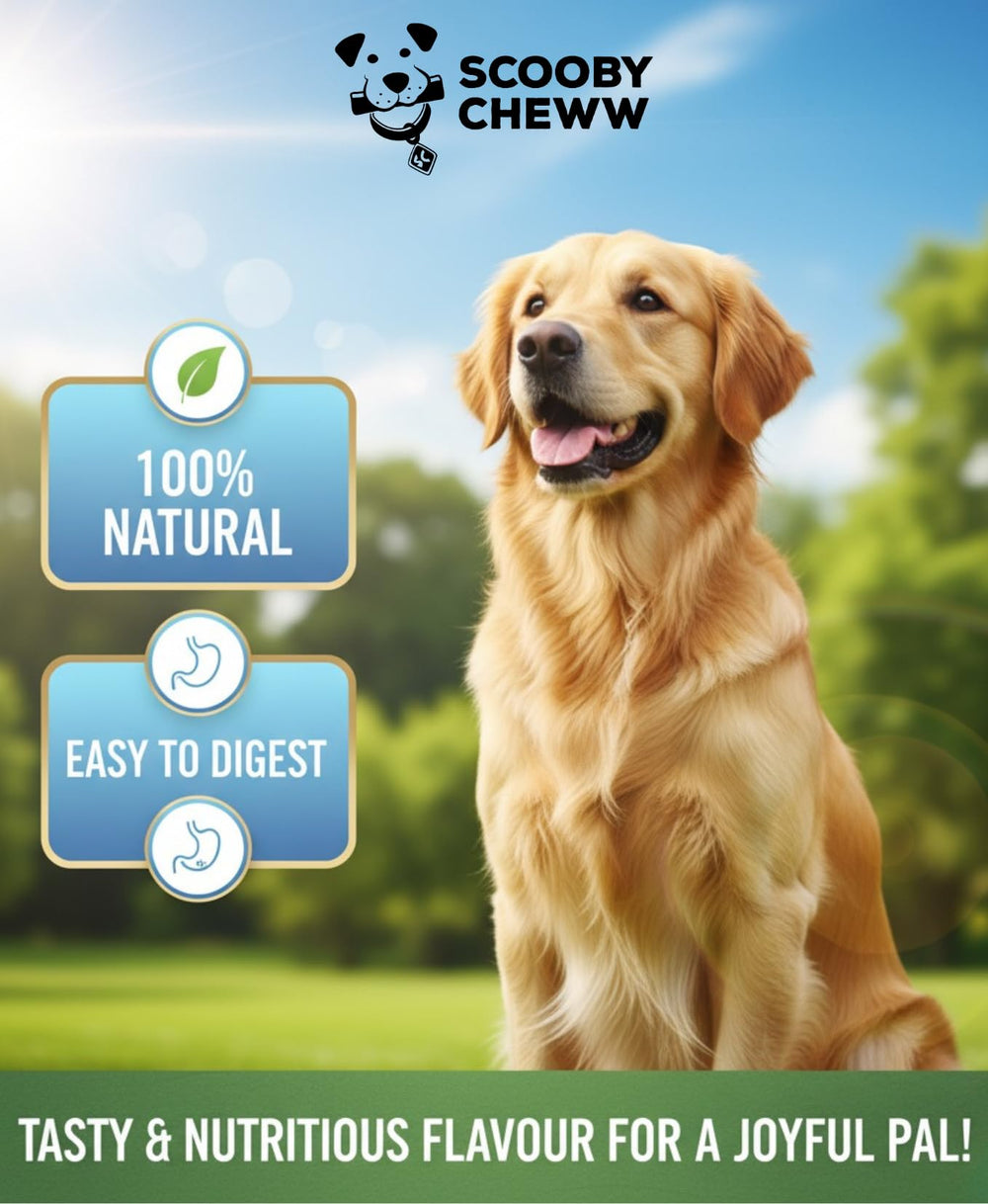 Scooby Cheww – mordillage prolongé, divertissement pour chiens robustes.