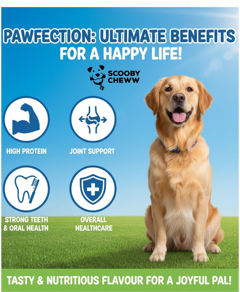 Scooby Cheww – nettoyage dentaire potentiel, gencives et haleine plus propres.