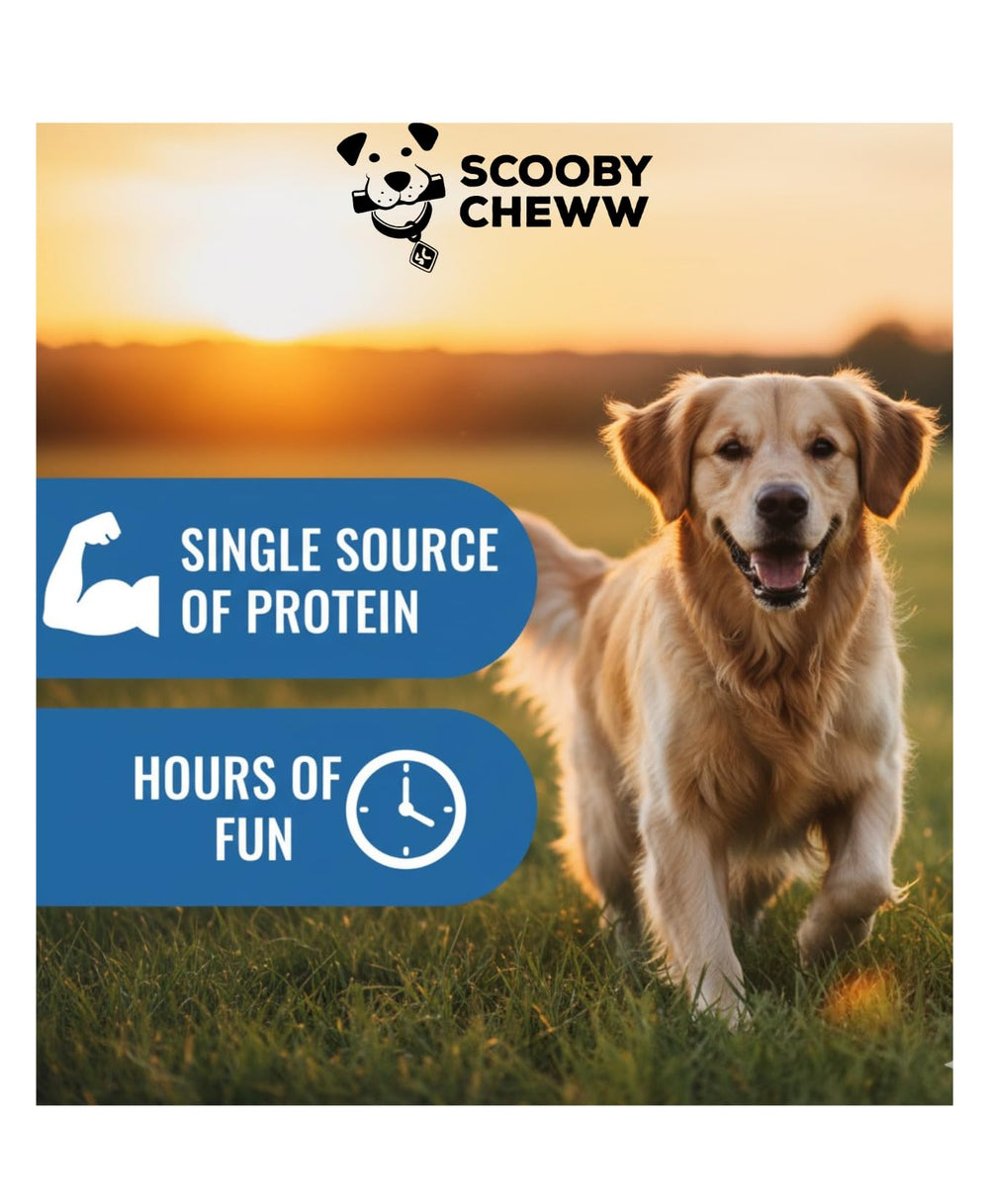 Scooby Cheww – protéine élevée, soutien potentiel pour chiens actifs.